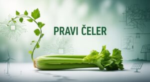 pravi celer
